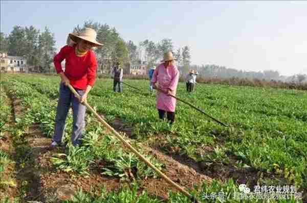 中药材养殖有什么程序(中药材养殖需要的手续流程)