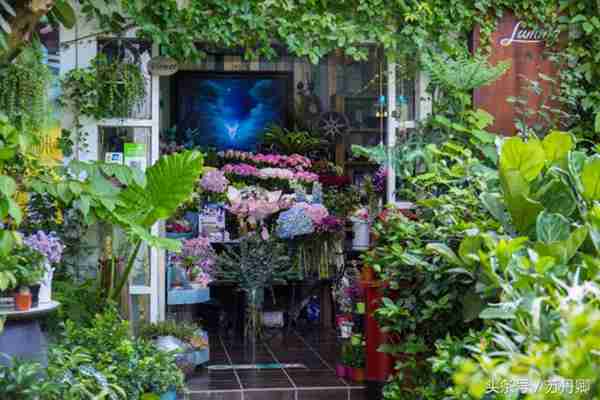 深圳世界之窗真的把整个世界都搬过来了吗？