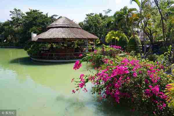 什么是数轴,学好数轴知识有什么用,就让我告诉你