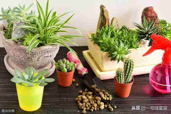 新手开童装店要准备什么?店铺里一般都有什么?