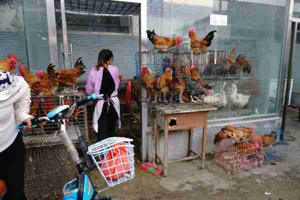 早市上这些美食卖火了,比农村大集都便宜