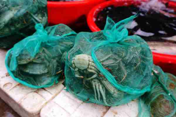 早市上这些美食卖火了,比农村大集都便宜