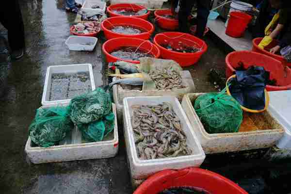 早市上这些美食卖火了,比农村大集都便宜