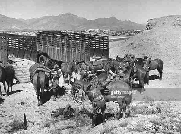 骑兵和步兵的行军速度到底谁更快?百分之九十九的人都答错了!