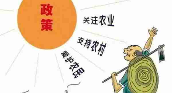三农指的是什么(中国的三农主力军是什么)