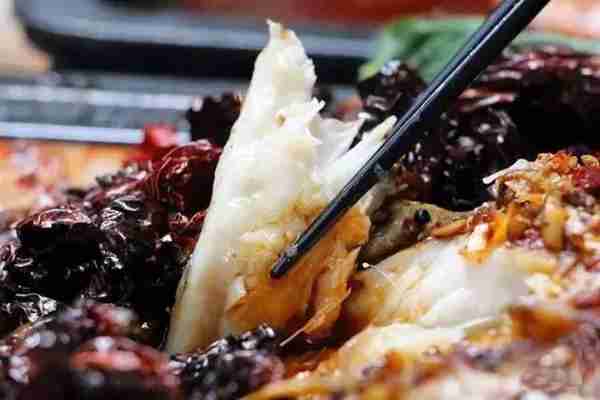 广州最好吃的鱼有哪些?只为吃一条鱼