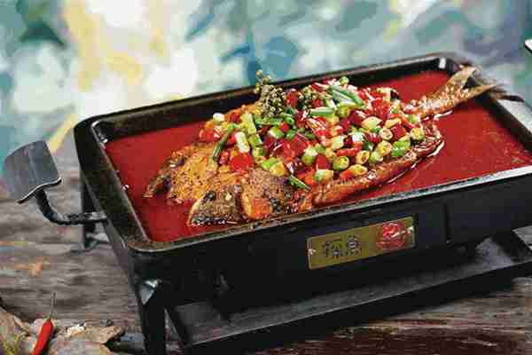 广州最好吃的鱼有哪些?只为吃一条鱼