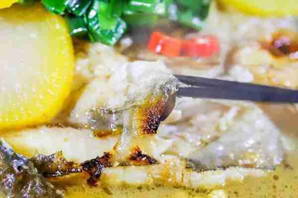 广州最好吃的鱼有哪些?只为吃一条鱼