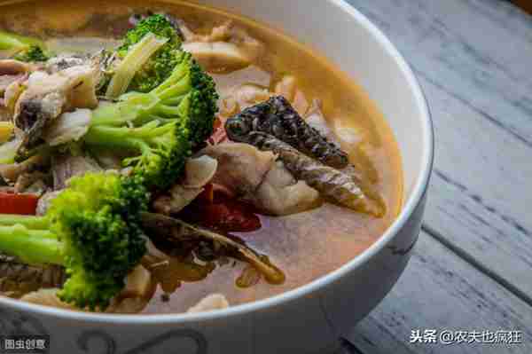 黑鱼是什么鱼(黑鱼为什么称它为“孝鱼”呢)