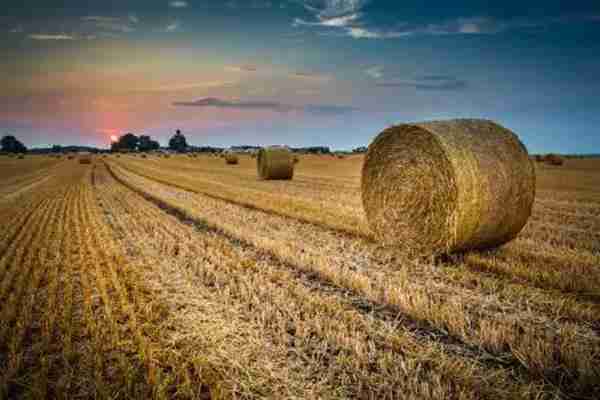 发展绿色农业有哪些项目? 具体有什么补贴?