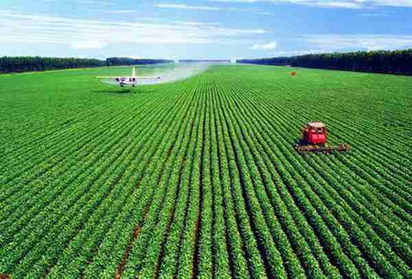 发展绿色农业有哪些项目? 具体有什么补贴?