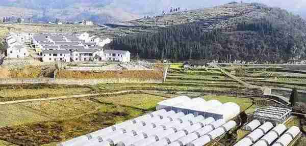 年国家先给钱后建设的4类农业产业项目,最多补贴1个亿