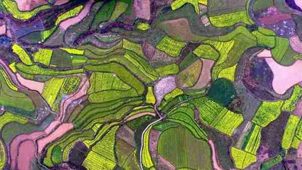 年国家先给钱后建设的4类农业产业项目,最多补贴1个亿