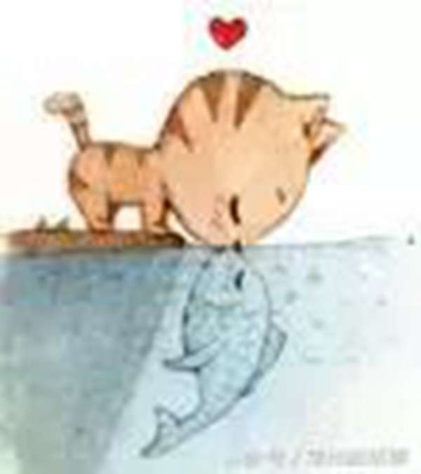 猫咪爱上鱼都有什么菜(猫咪爱上鱼好不好吃)