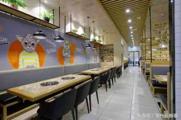 全国连锁猫咪爱上鱼入驻路劲又一城大润发啦!