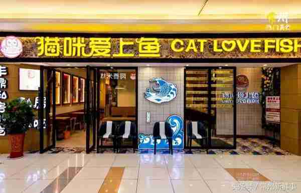 全国连锁猫咪爱上鱼入驻路劲又一城大润发啦!