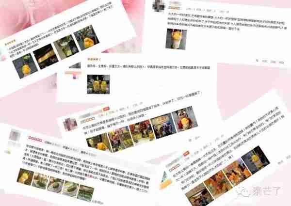 泰芒了是做什么的(泰芒了里面有些什么产品)