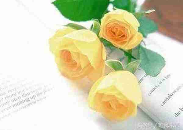 2月14日情人节外,每个月的14号都有其不同的含义