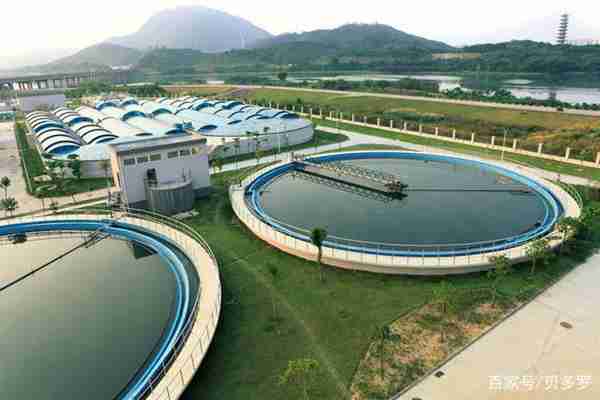 投资什么行业有发展(目前做什么投资前景好)