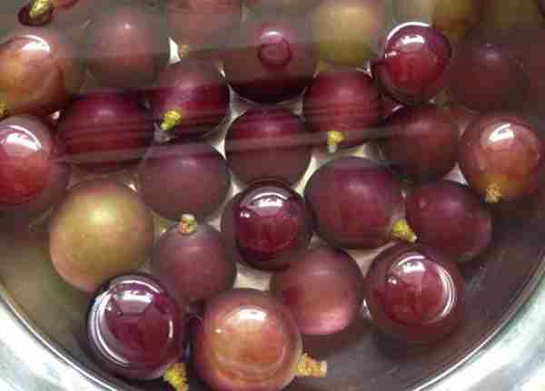 吃了这么多年葡萄,才知道清洗葡萄的正确方法,原来这样洗才干净