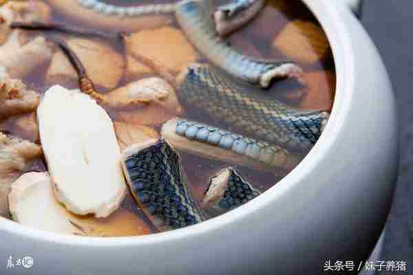 农村这些东西这么赚钱,农民你敢去养吗?