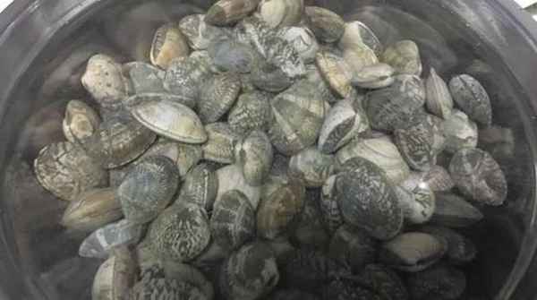 常吃花甲粉有什么好处（自己在家没有锡箔纸怎么做花甲粉）