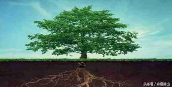 未来十年那些职业最吃香?什么工作最挣钱?