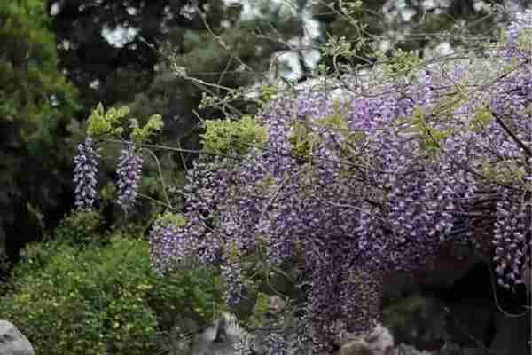 扬州有什么好玩的地方值得推荐?