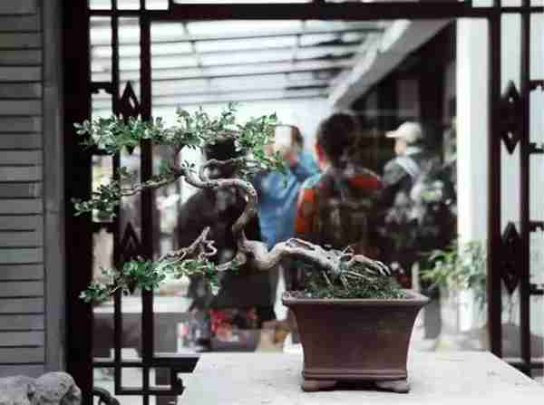 扬州有什么好玩的地方值得推荐?