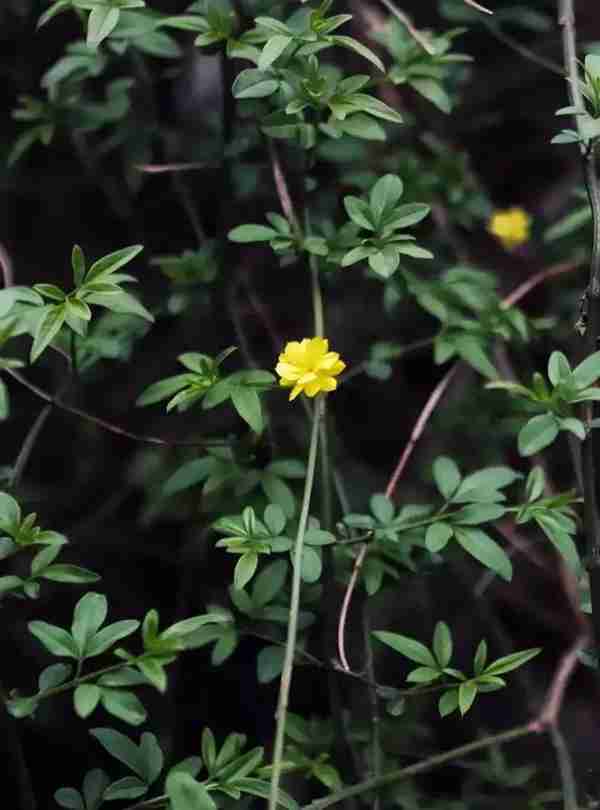 扬州有什么好玩的地方值得推荐?