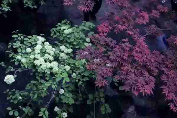 扬州有什么好玩的地方值得推荐?