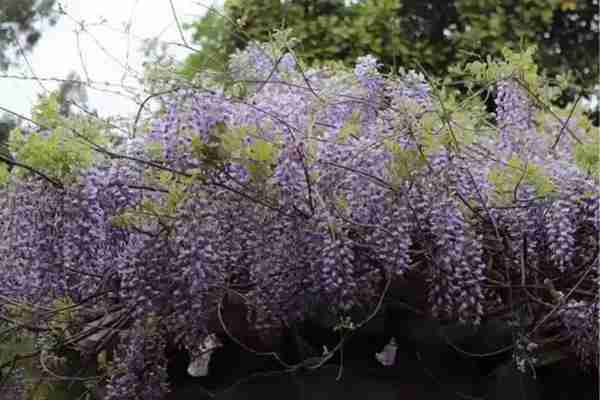 扬州有什么好玩的地方值得推荐?