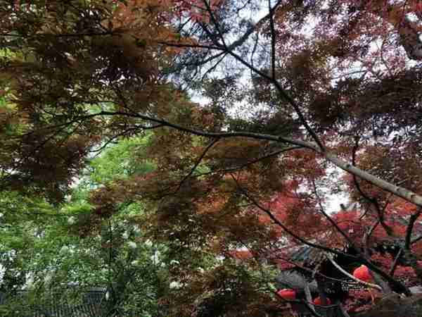 扬州有什么好玩的地方值得推荐?