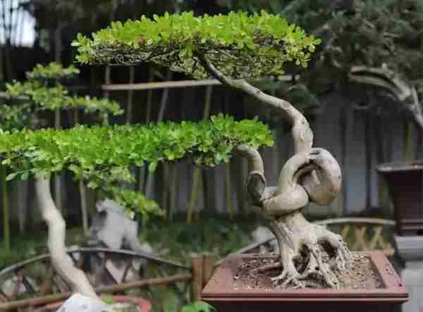 扬州有什么好玩的地方值得推荐?