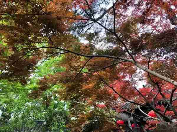 扬州有什么好玩的地方值得推荐?