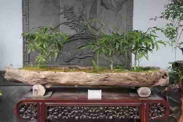 扬州有什么好玩的地方值得推荐?