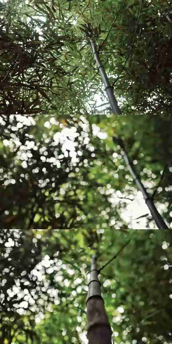 扬州有什么好玩的地方值得推荐?