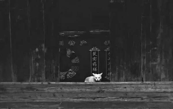 扬州有什么好玩的地方(扬州游玩指南)