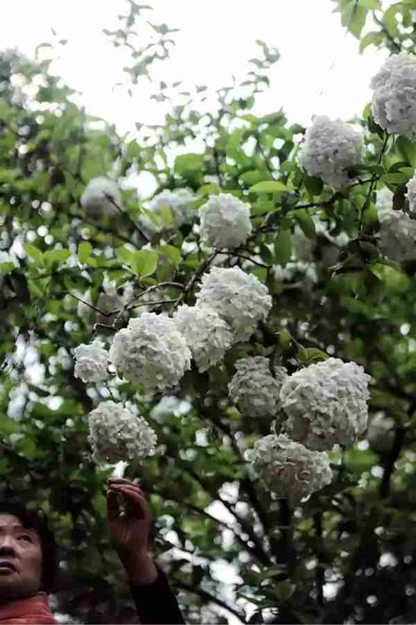 扬州有什么好玩的地方值得推荐?