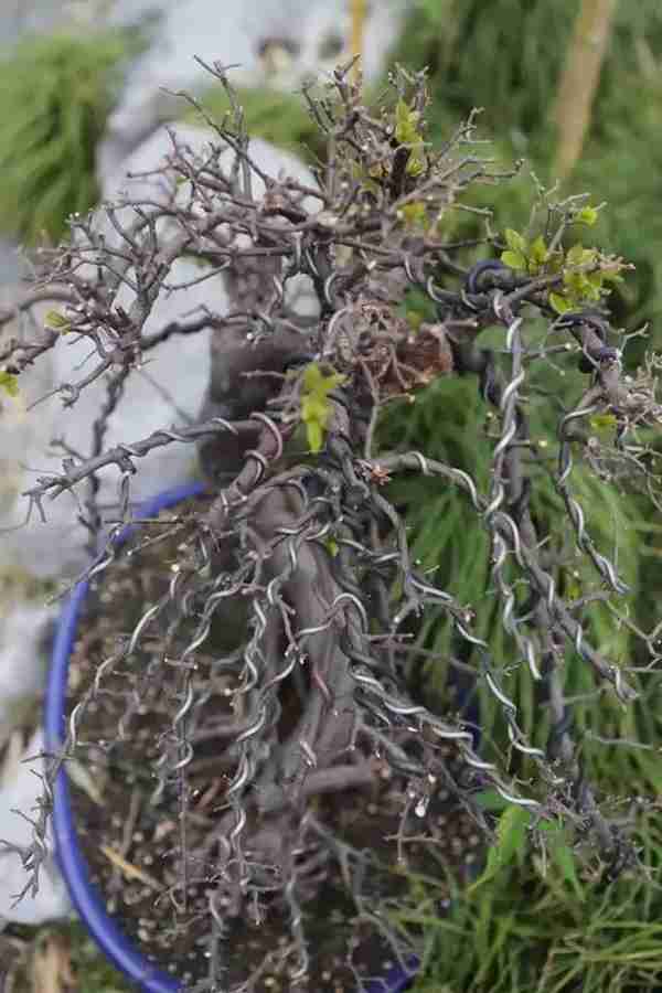 扬州有什么好玩的地方值得推荐?