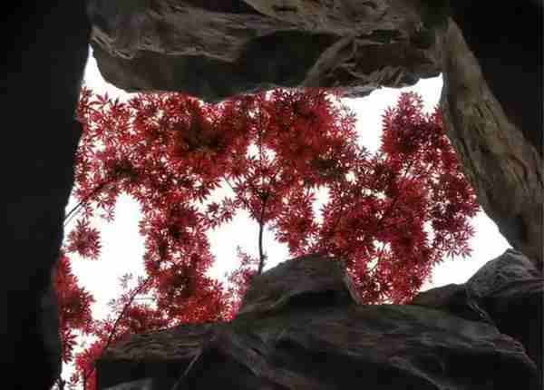 扬州有什么好玩的地方值得推荐?