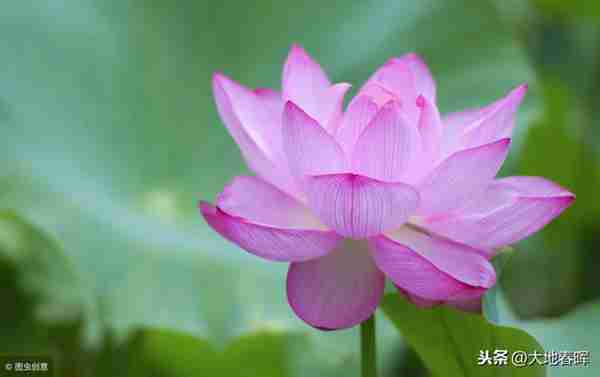 人活着到底是为了什么?十句话告诉你,把人生讲透了!