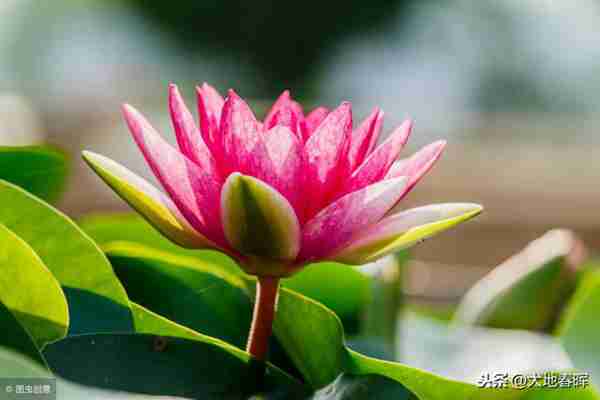 人活着到底为了什么(生活的意义在哪里)