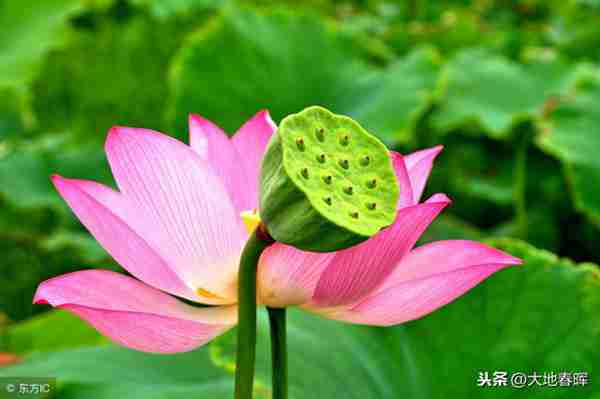 人活着到底是为了什么?十句话告诉你,把人生讲透了!