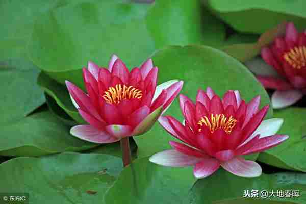 人活着到底是为了什么?十句话告诉你,把人生讲透了!