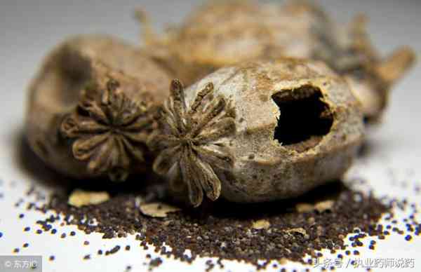 咳嗽常见的19种药,收藏好,感冒咳嗽不用经常往医院跑了