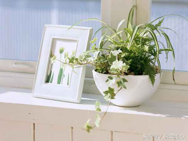 如果你是一个循规蹈矩的人，那此刻我将会是一事无成