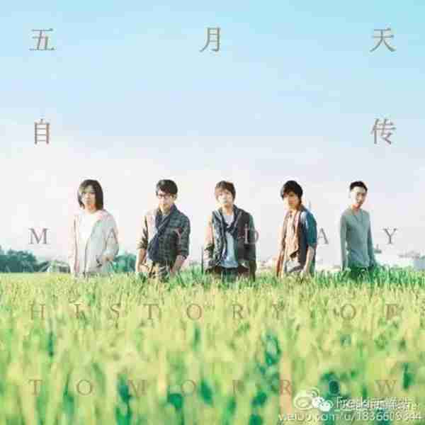 被偶像翻牌是一种什么感受?