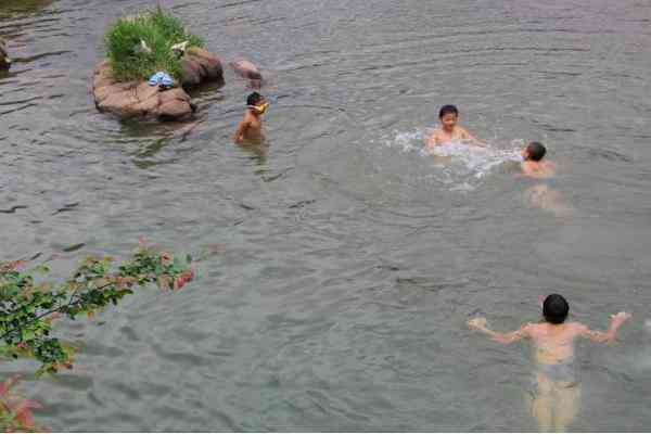 农村池塘河边的“水猴子”到底是什么？