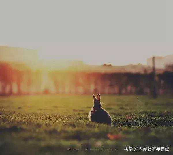 “三十而立”，立什么？原来是这个意思